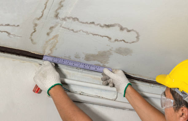 Reliable Water Extraction contractor in Milan, MI by Water Damage Irwin